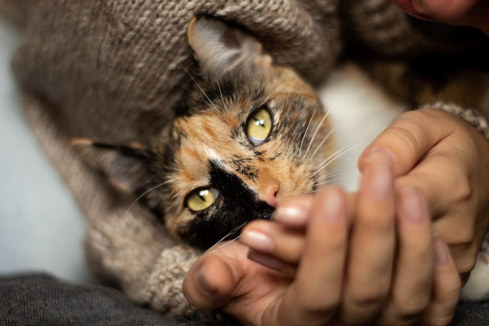 Photograph by Егор Пакулин