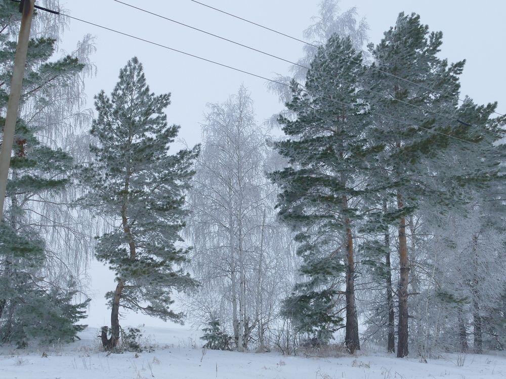 Photograph by Александр Кизим