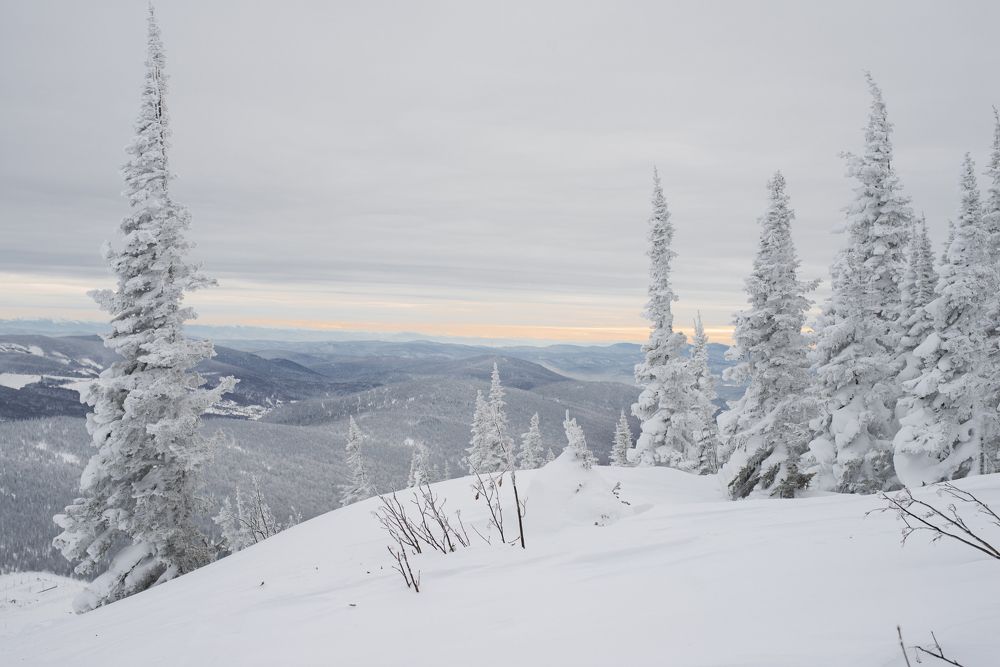 Фотография автора Маргарита Костаганова