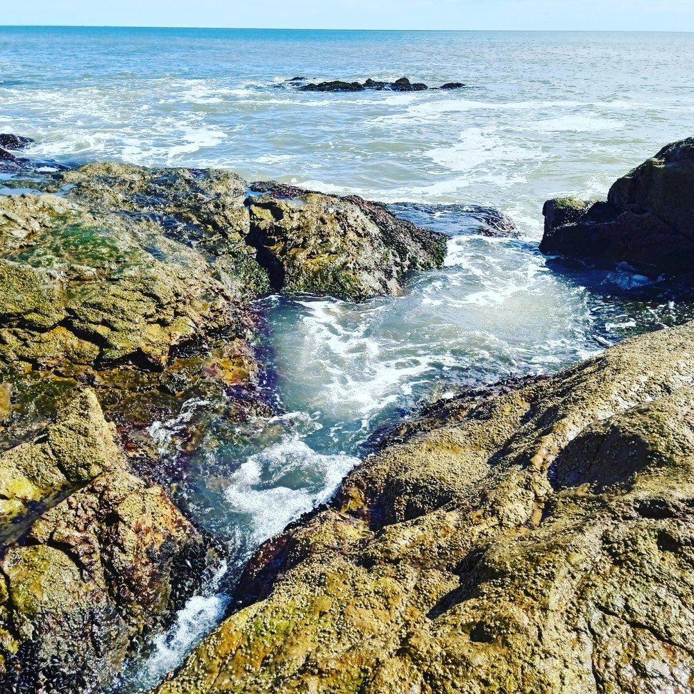 Photograph by Lourdes Cajigal