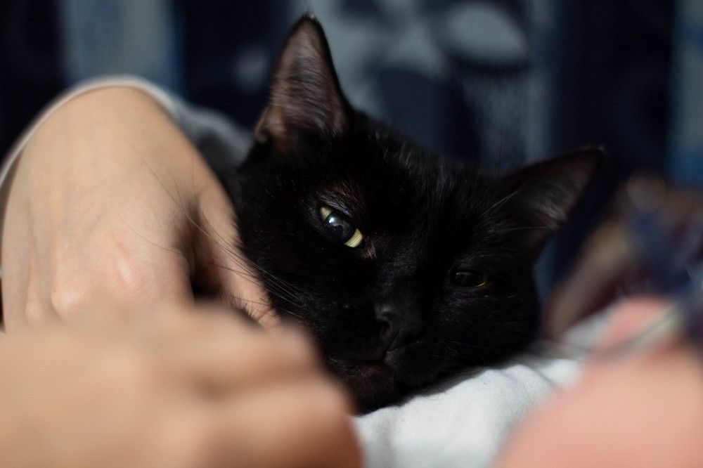 Photograph by Егор Пакулин