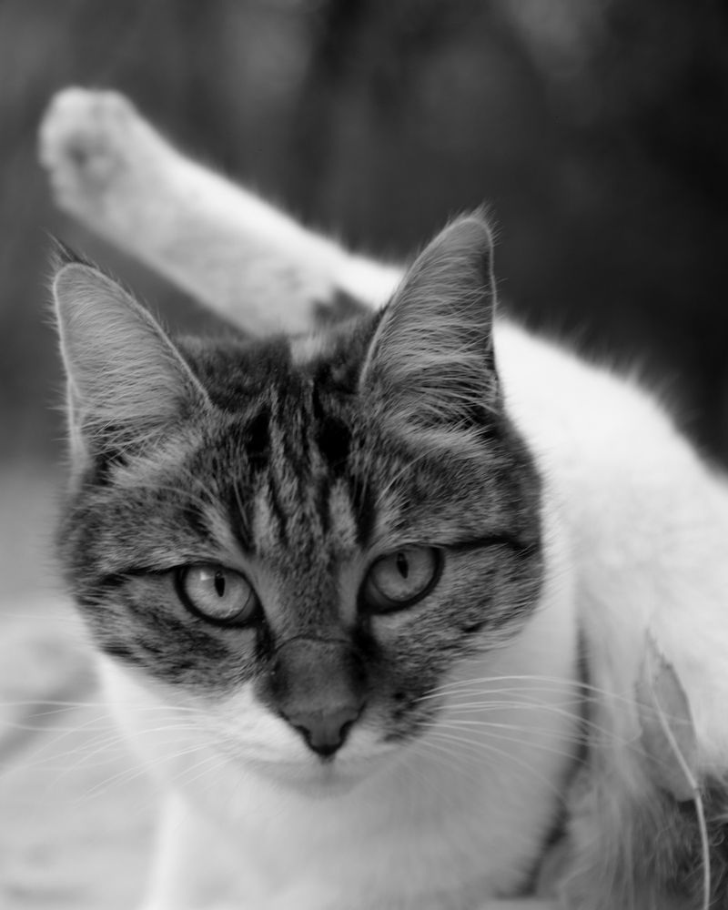 Photograph by seyed mostafa yousefi