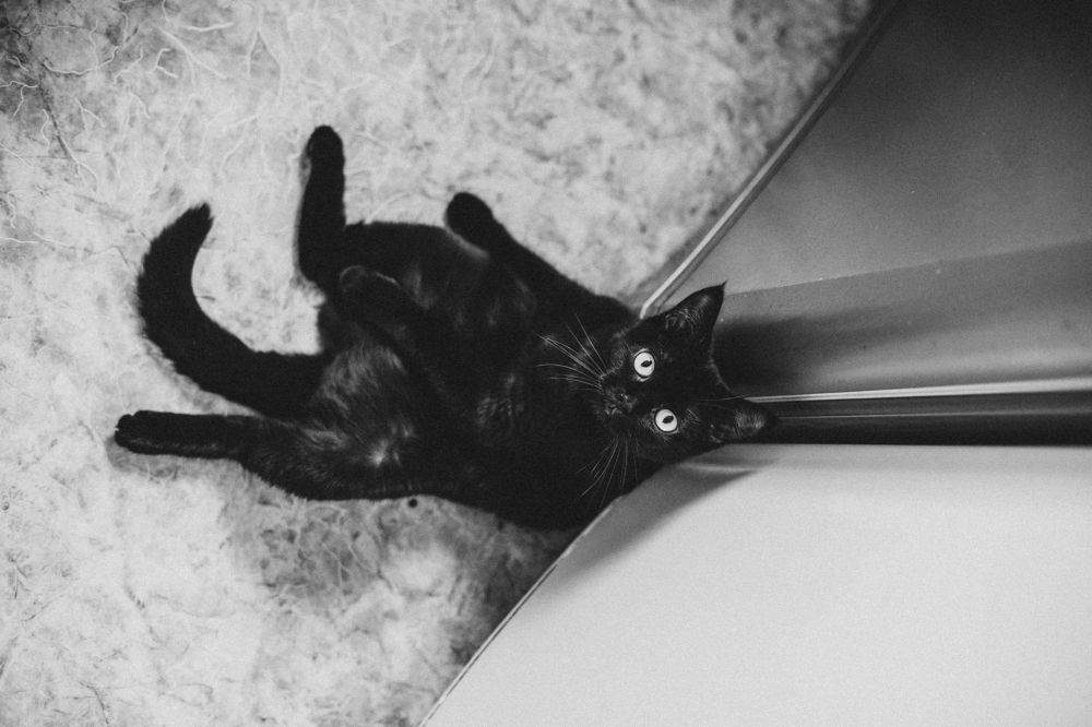 Photograph by Виктория Ригель