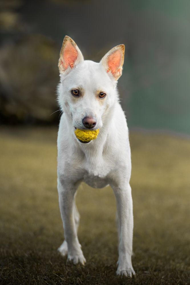 Photograph by Marcia Camargo