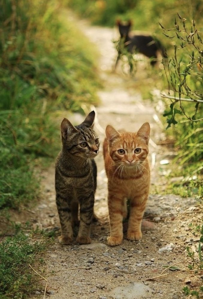 Photograph by Анна Закирова