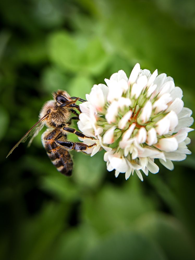 Фотография автора Сергей Суриков