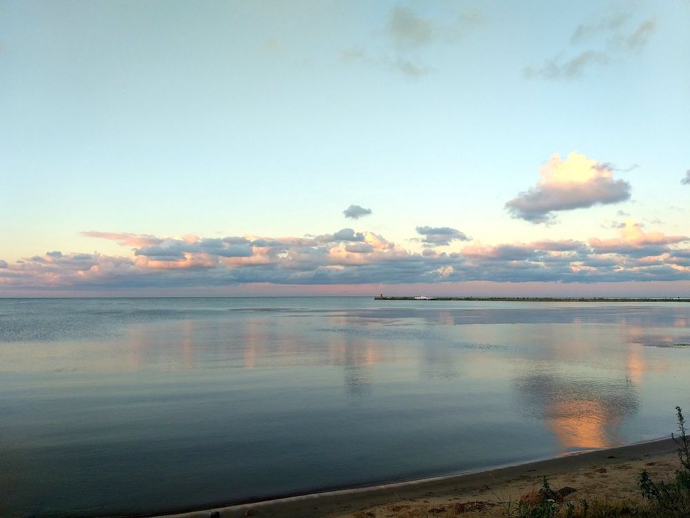 Photo #8732969