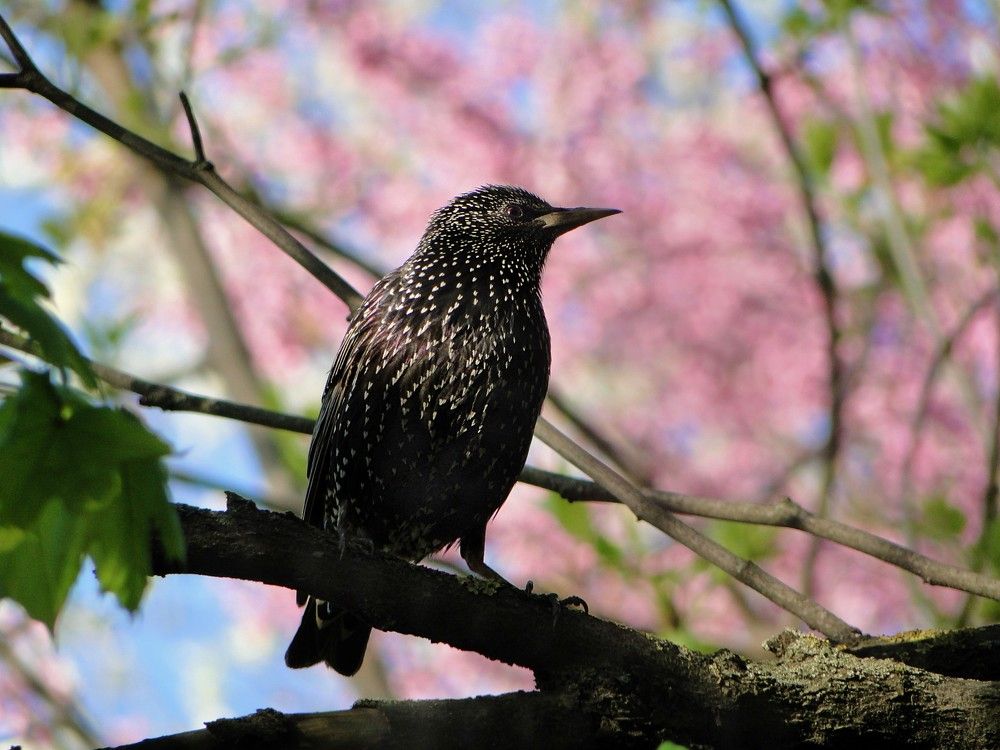 Photograph by Оксана Архипова