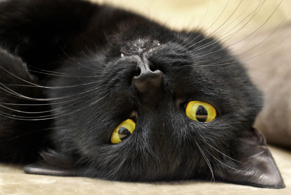 Photograph by Aušrinė Bui