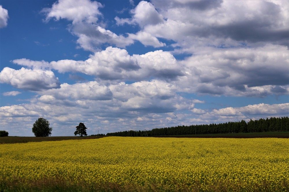 Photograph by ОЛЬГА ДЕРБЕНЕВА