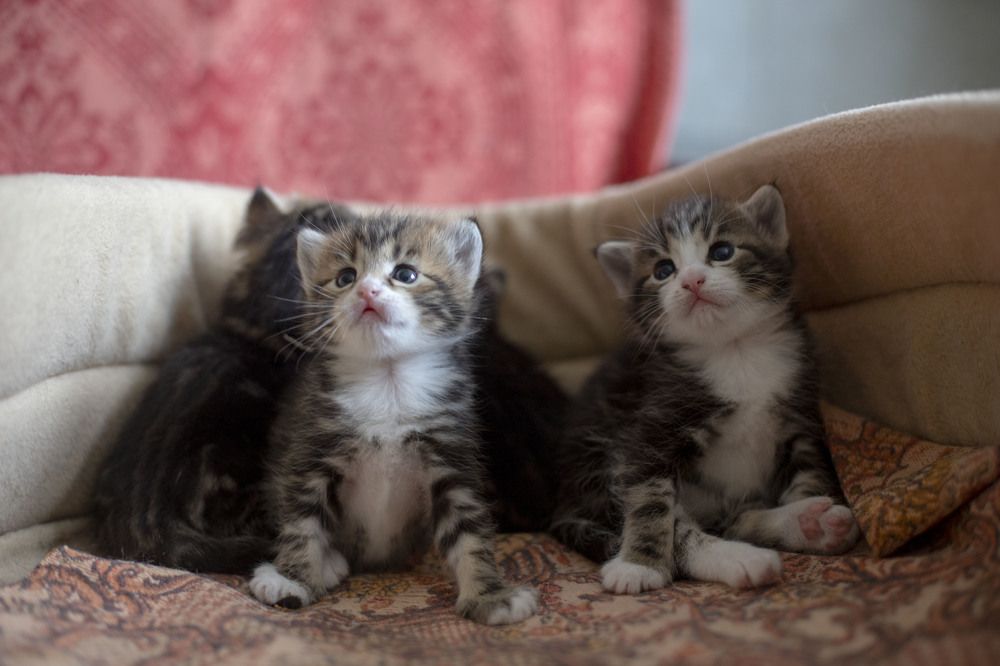 Photograph by Elena Kostochkina