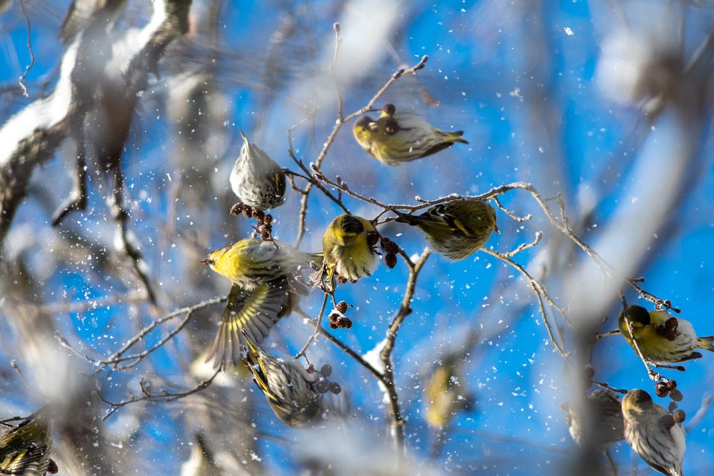 Photograph by Максим Рати