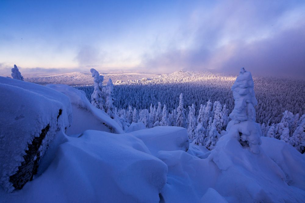 Photograph by Андрей Шарапов