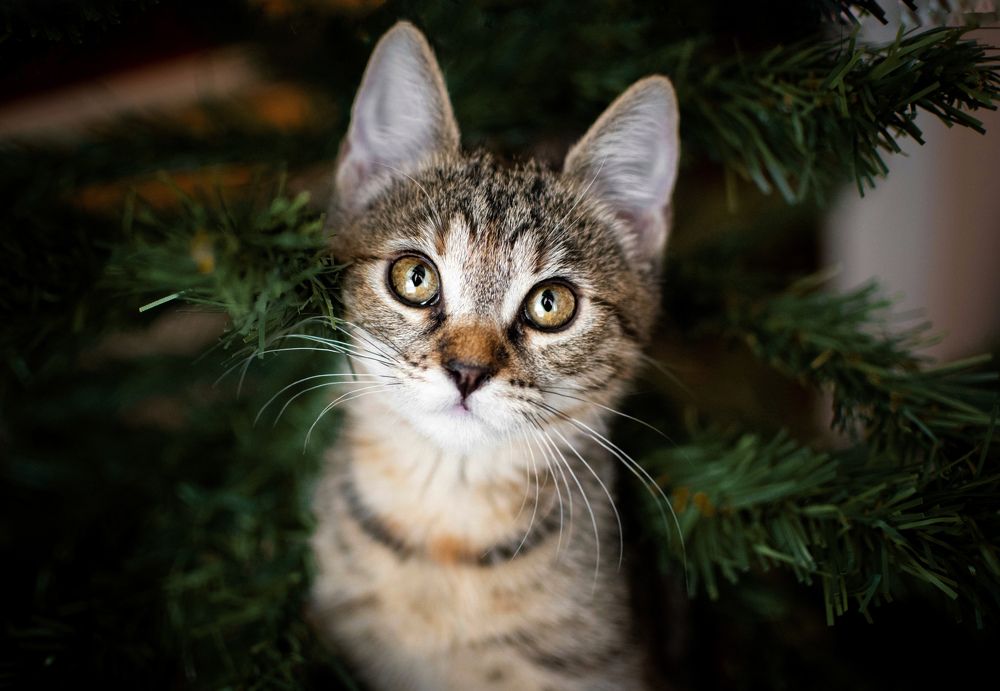 Photograph by Barbora Holinková