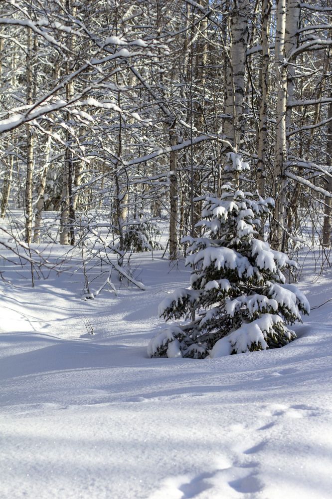 Photograph by Elena Kostochkina