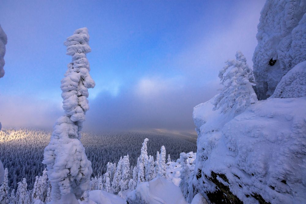 Photograph by Андрей Шарапов