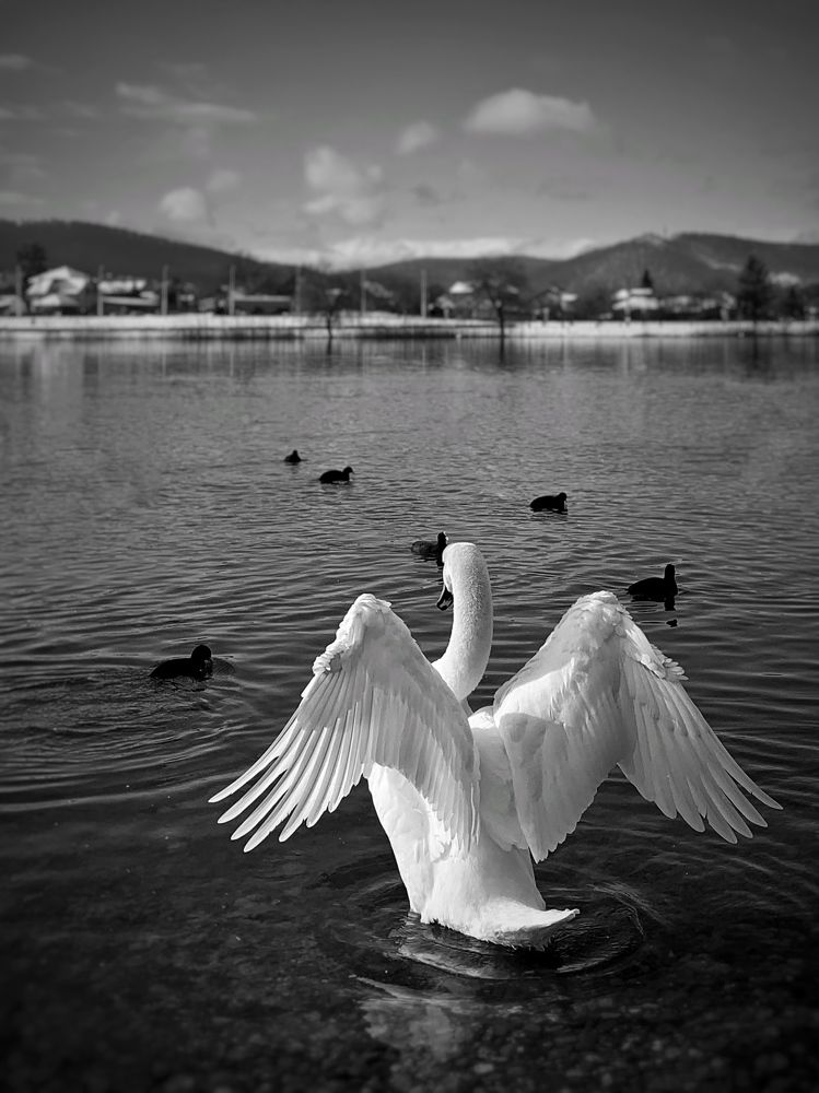 Photograph by Татьяна Семёнова