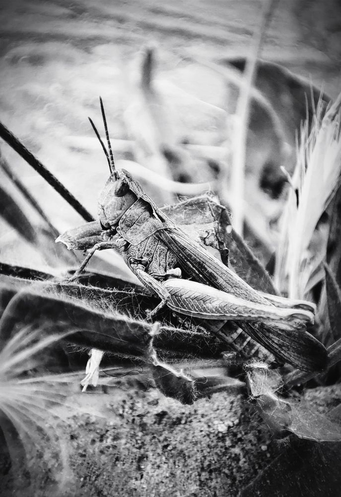 Photograph by Екатерина