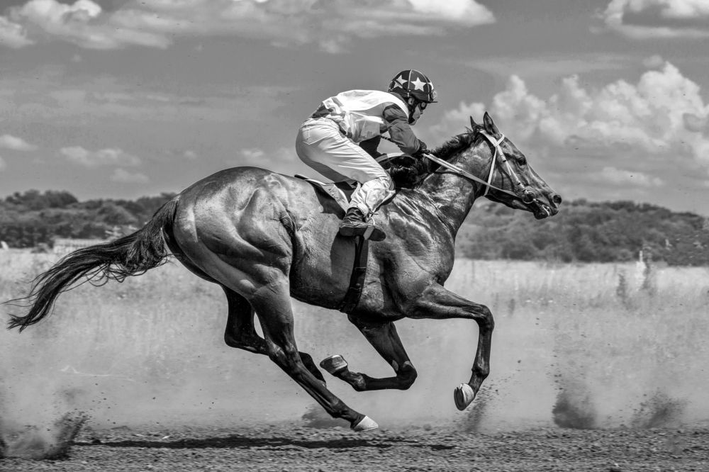 Photograph by Коркин Вадим