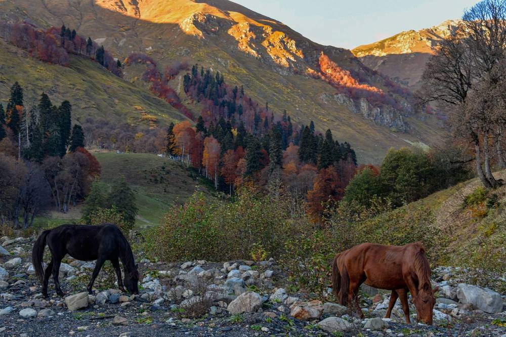 Прогулка в долине реки Ауадхара
