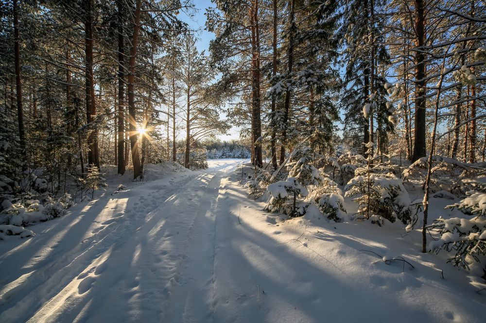 Photograph by Владимир Архипов