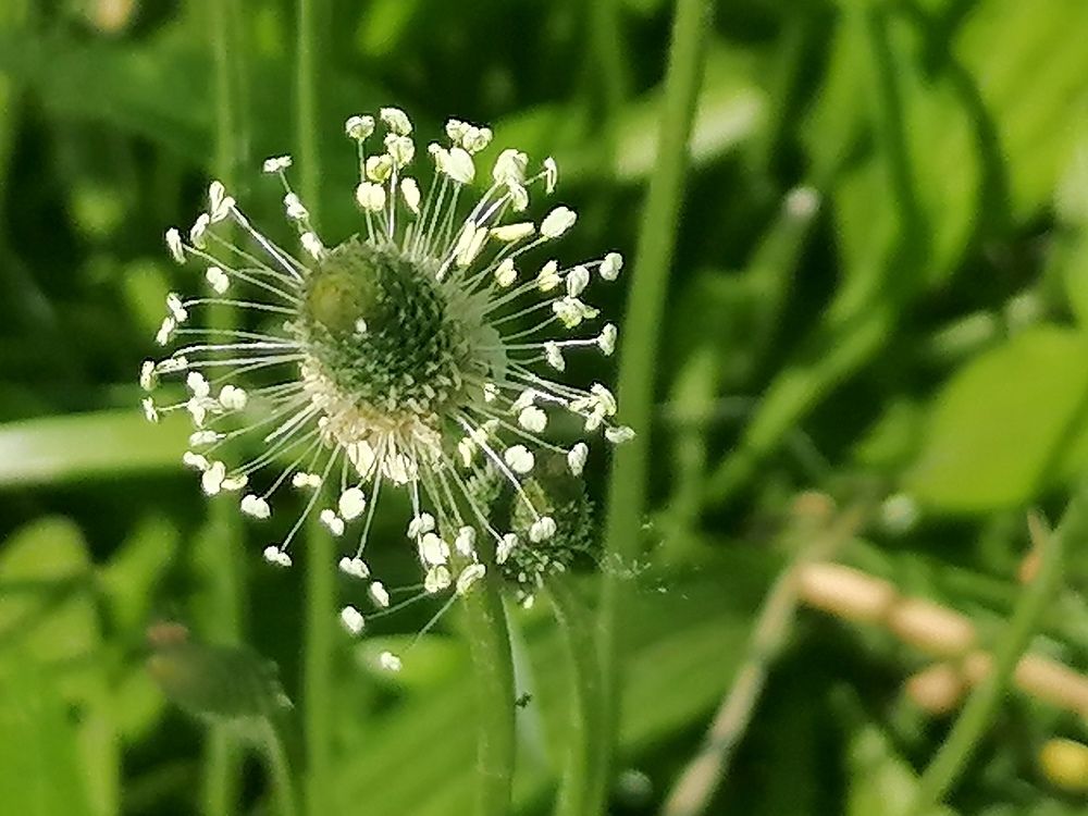 Photograph by Тамара Багровская