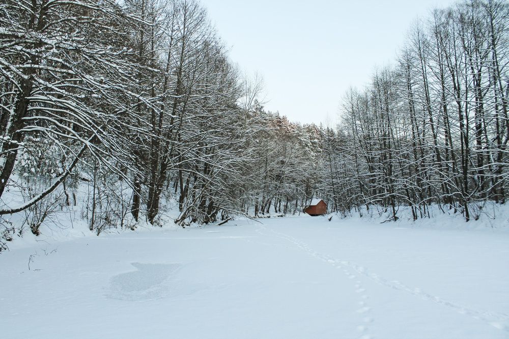 Photograph by Матвей Короткин