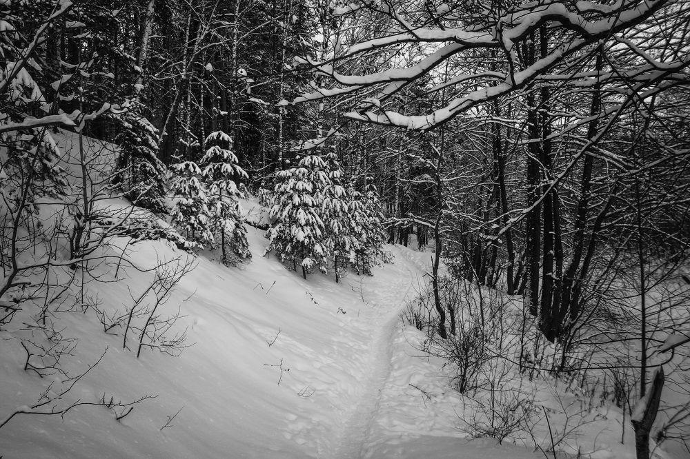 Photograph by Матвей Короткин