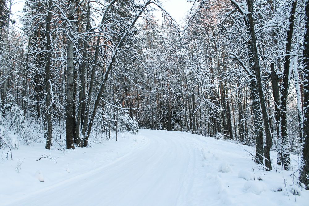 Photograph by Матвей Короткин