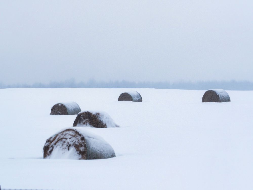 Стопы под снегом