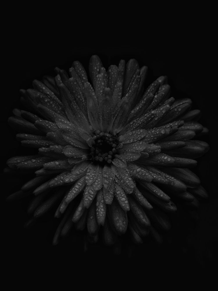 Photograph by Tatiana