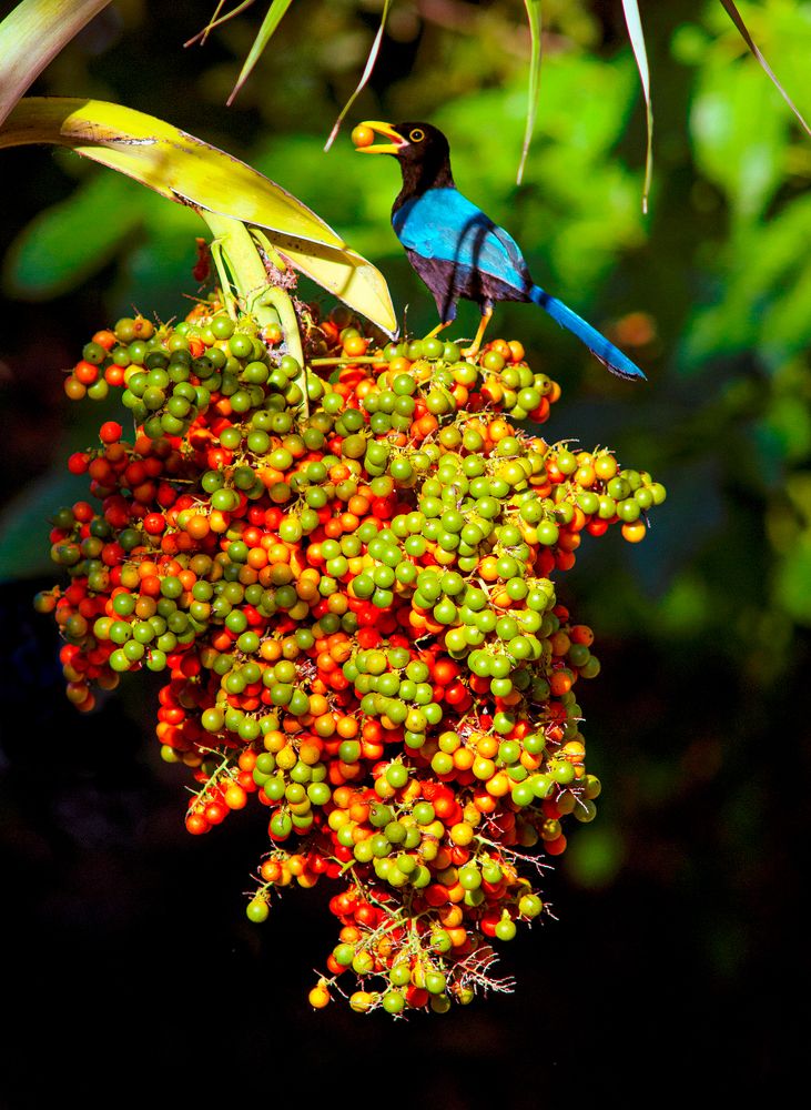 Photograph by Juan Berzunza