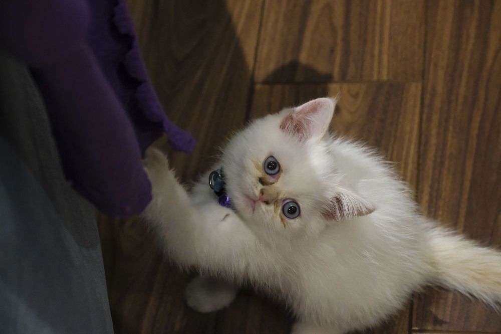 Photograph by İNCİ KOYUNCU