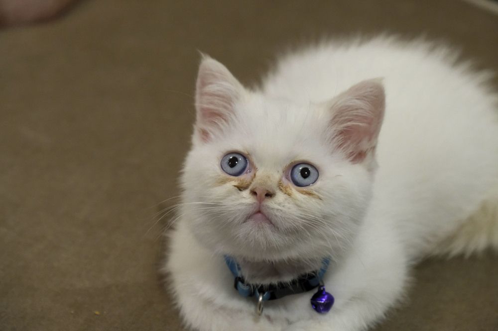 Photograph by İNCİ KOYUNCU