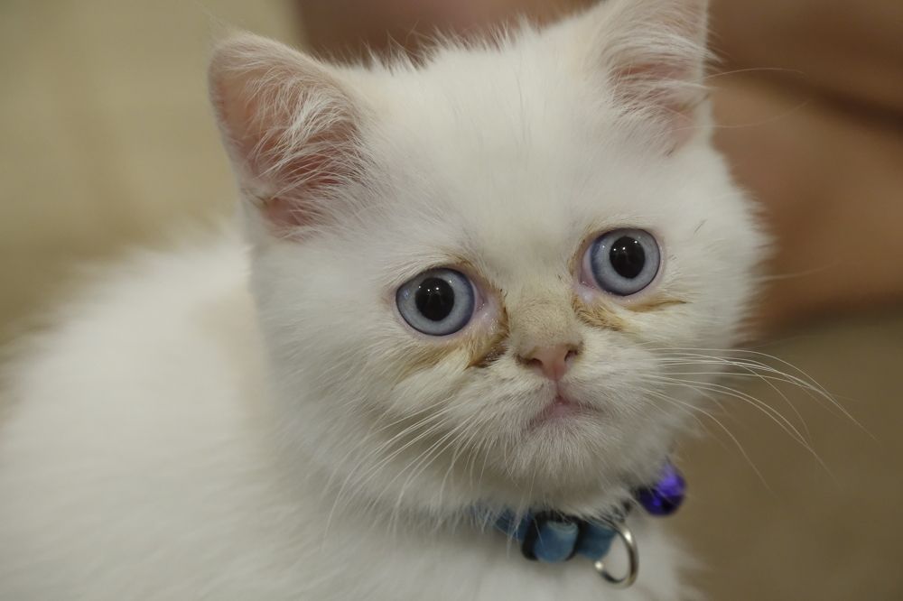 Photograph by İNCİ KOYUNCU