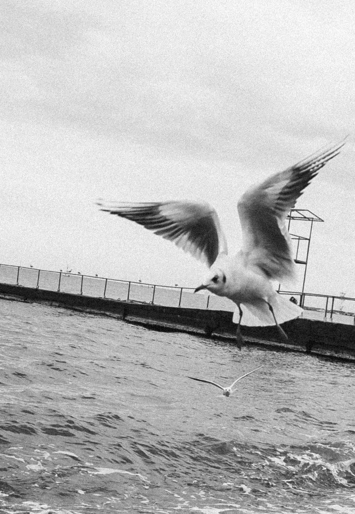 Photograph by Вигдис