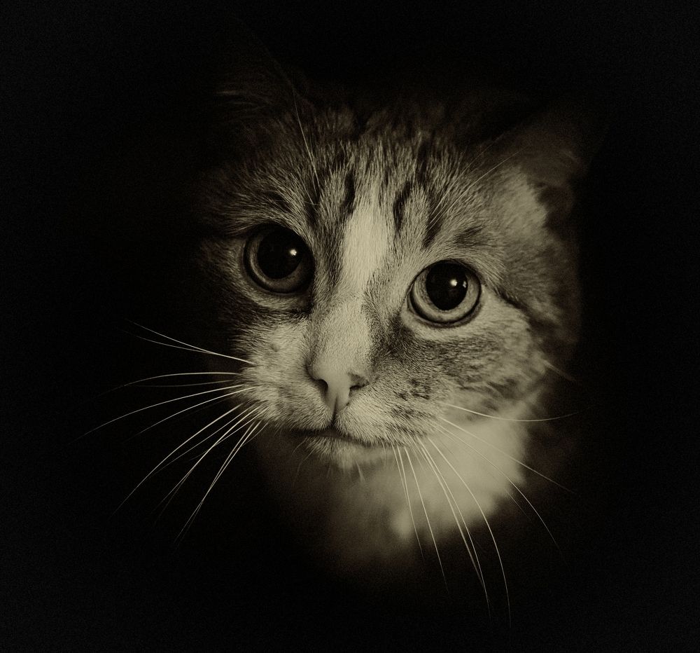 Photograph by юрий