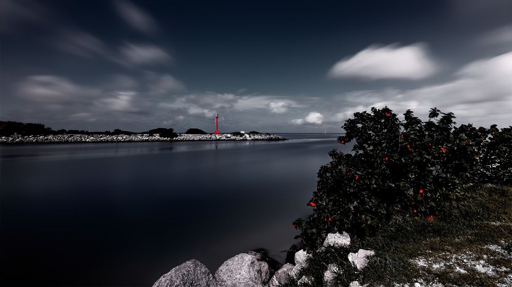 Photograph by Juan Berzunza