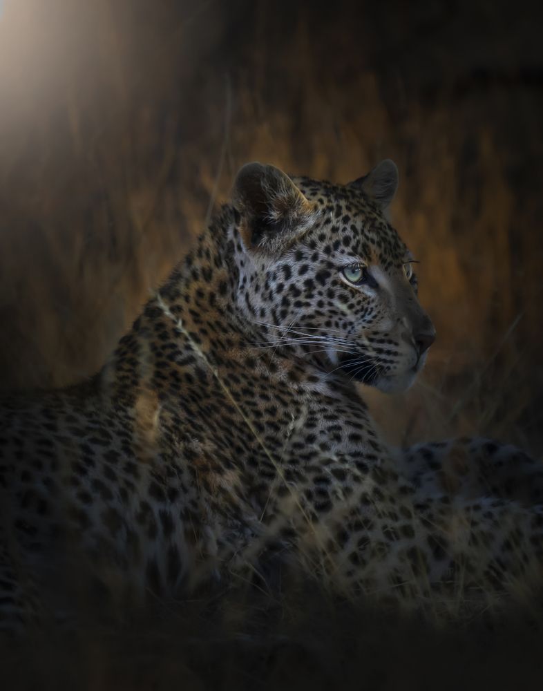 Photograph by Chris Stavrakas