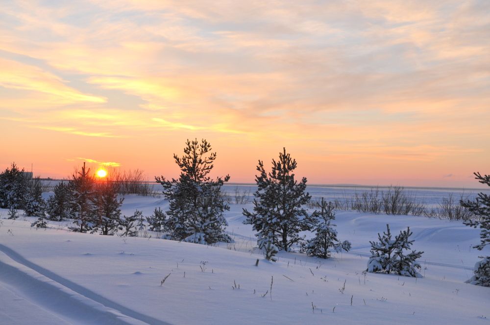 Photograph by Вероника Любицева