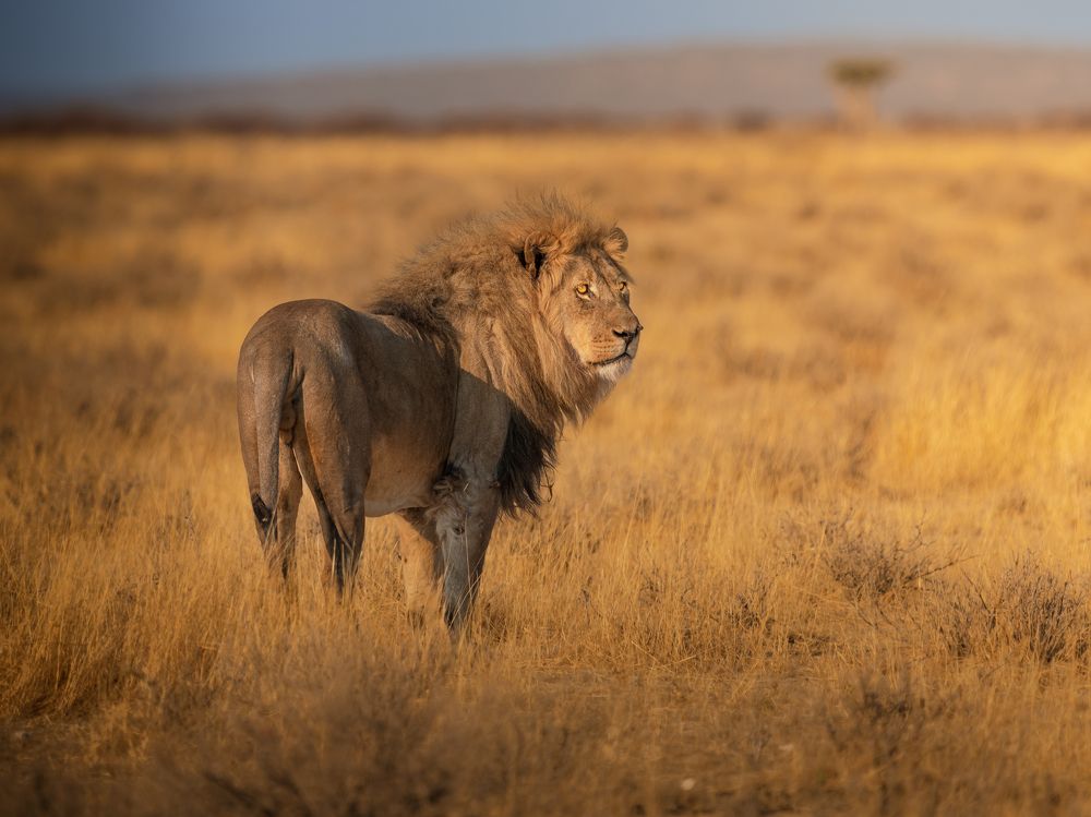 Photograph by Chris Stavrakas