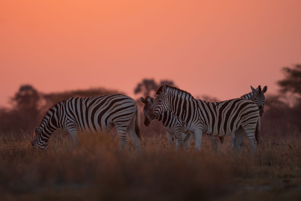 Photograph by Chris Stavrakas