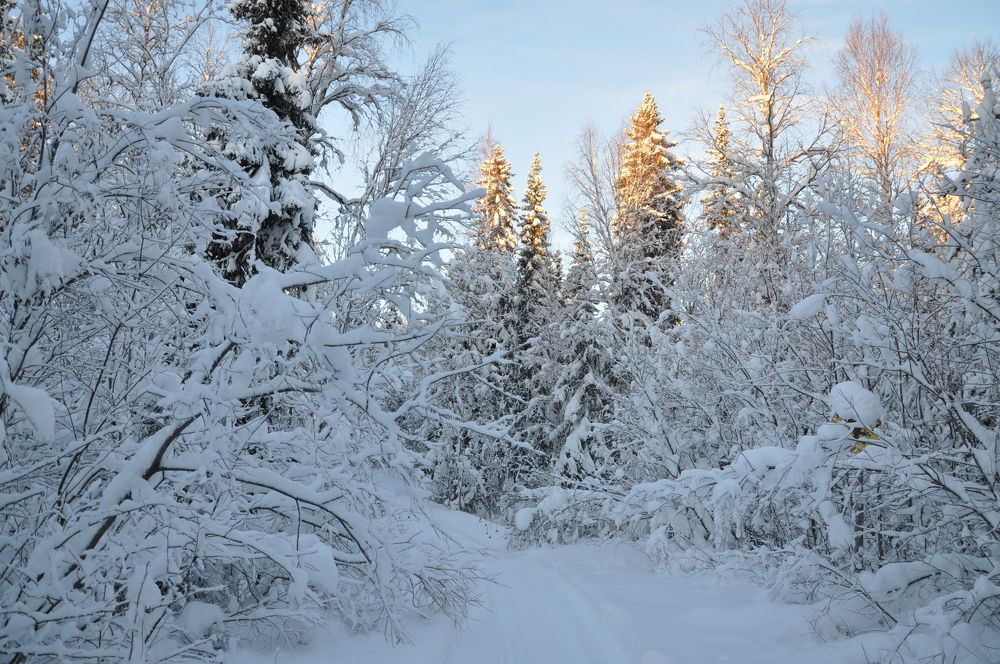 Photograph by Вероника Любицева