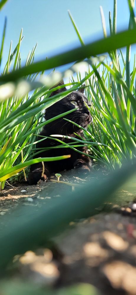 Фотография автора Eva Evstropova