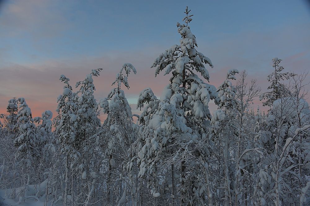 Photograph by Ирина Алексеевна Дудаль-Вологодская