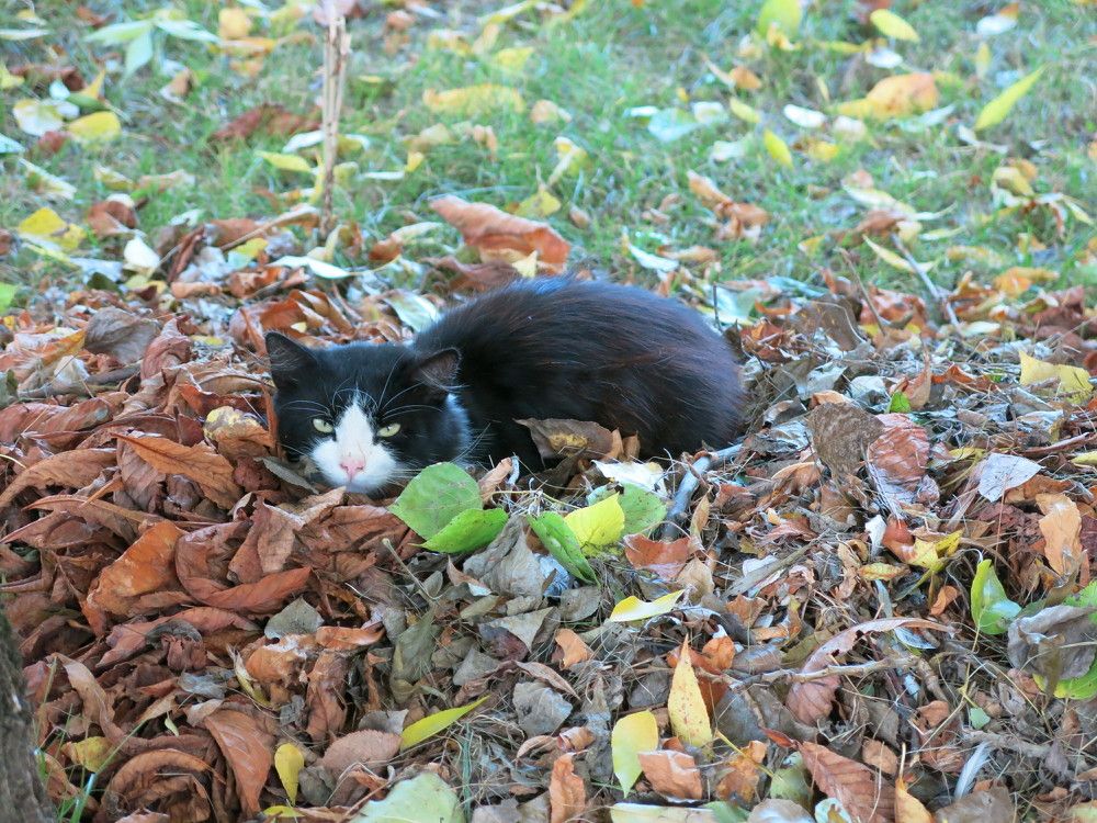 Photograph by ЭЛЬМИРА  ИСМАИЛОВА