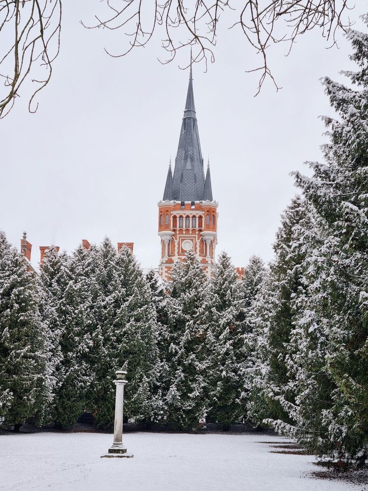 Photograph by Elena Tamošauskaite