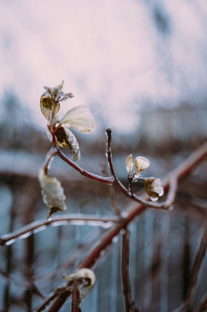 Photograph by Елизавета Фирстова