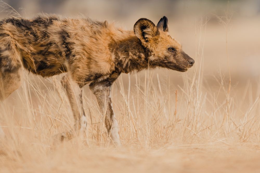 Photograph by Chris Stavrakas