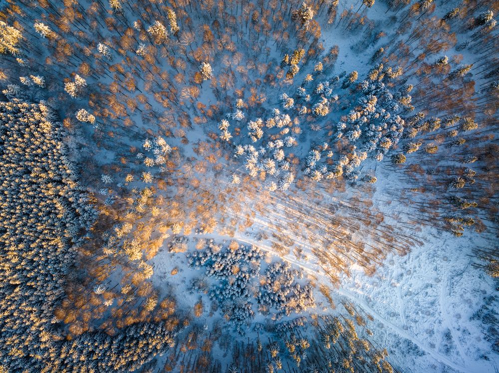 Photograph by Thibault Drutel